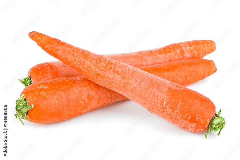 Carrot Carrot