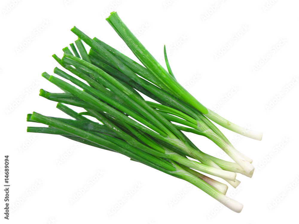 Green onion on white background. Isolated Green onion on white background. Isolated
