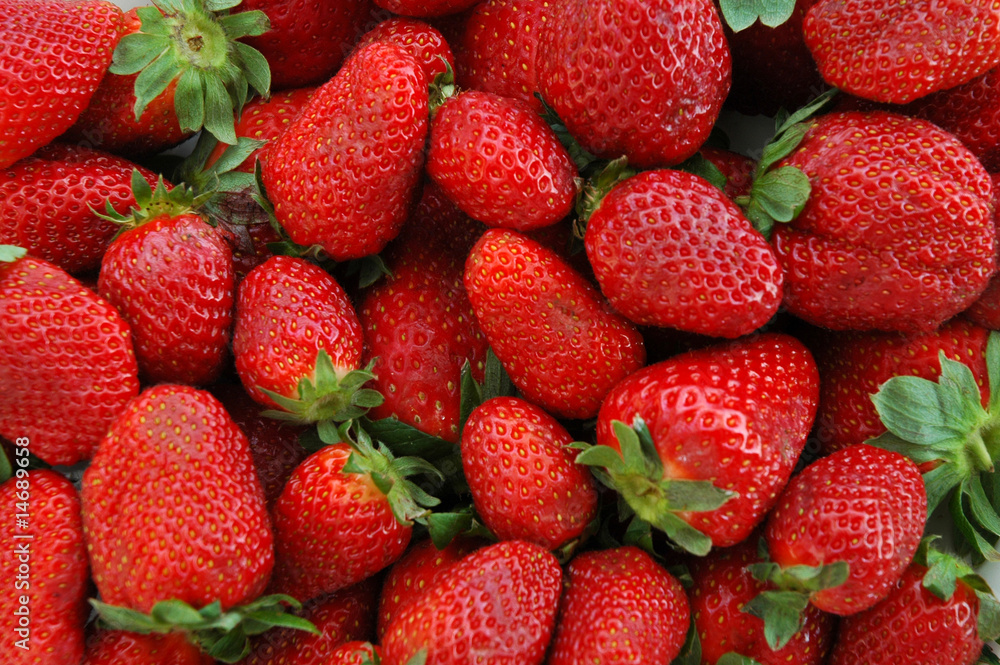 fraises fraiches fraises fraiches