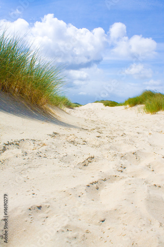Dünenlandschaft