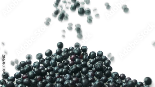 Blueberry season