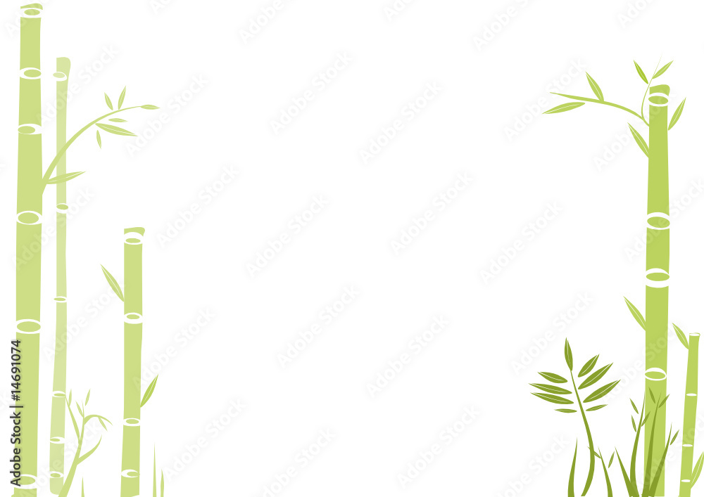 bambus illustration Stock Vector | Adobe Stock