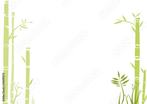 Fototapeta Naklejka Na Ścianę i Meble -  bambus illustration