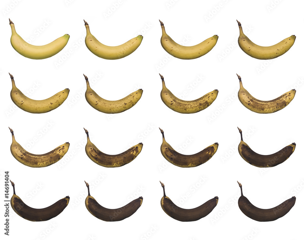 Fotografie Banana in progress isolated towards white background