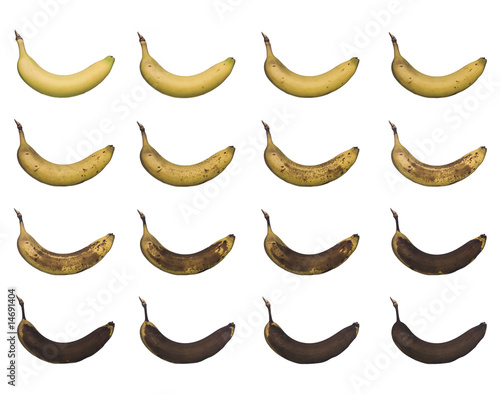 Fotografie Banana in progress isolated towards white background