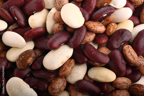 Принти на полотні Beans background containing three species of genus Phaseolus