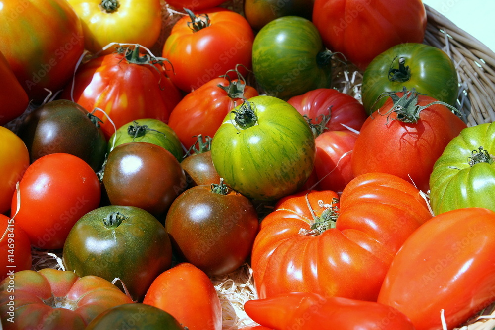 Panier de tomates anciennes Stock Photo | Adobe Stock
