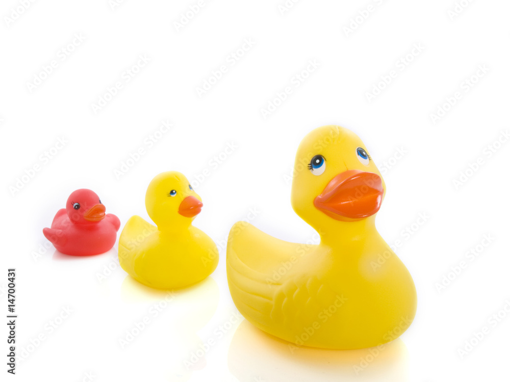 Ducks learning to swim Ducks learning to swim