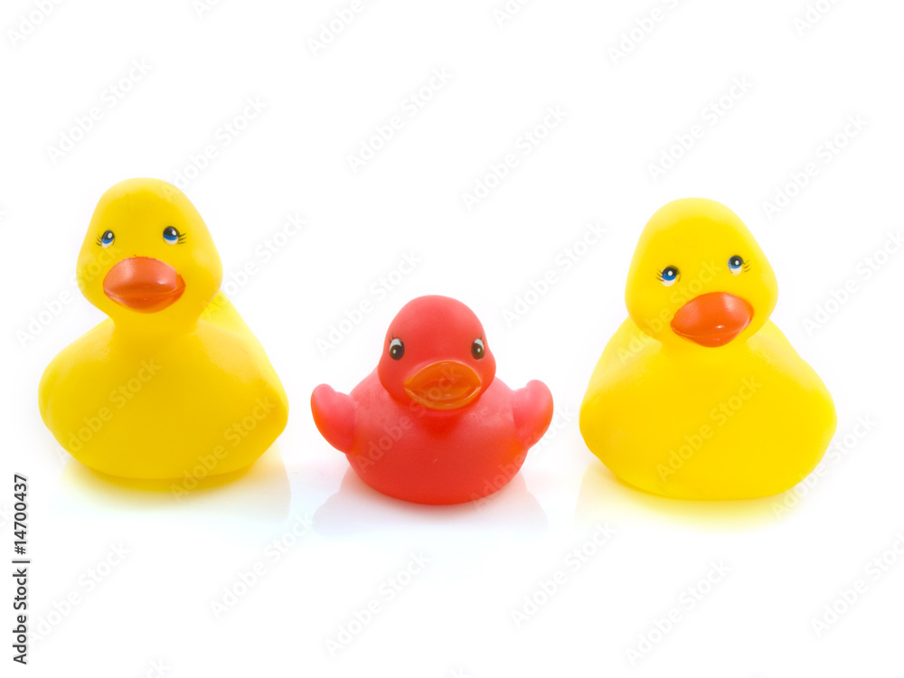 Three plastic ducks Three plastic ducks