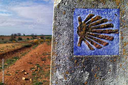 Camino