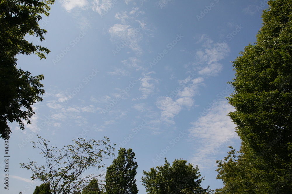 Obraz premium Copenaghen