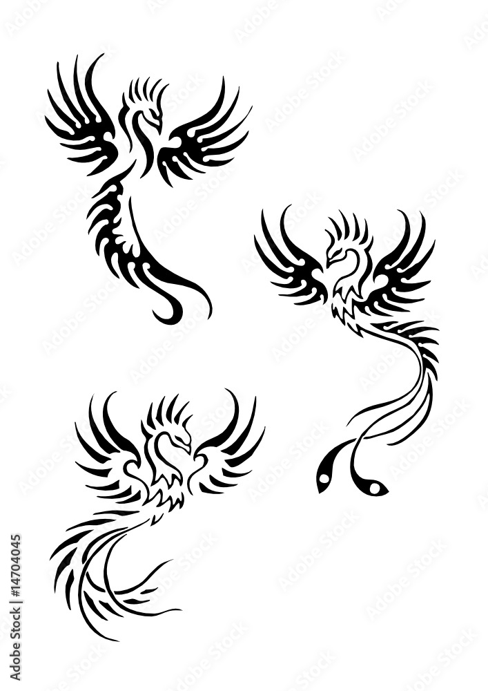 Obraz premium fenici tribali