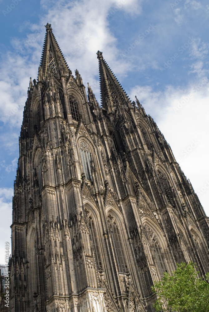 Fototapeta premium kölner dom
