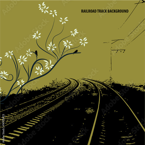 Railroad track