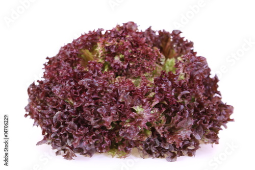 Lolo rosso Salat,Gemüse photo