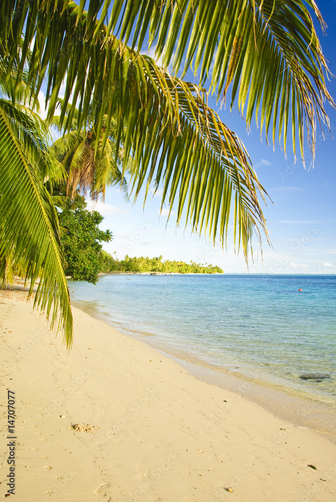 Fototapeta premium Tropical beach, Huahine, French Polynesia