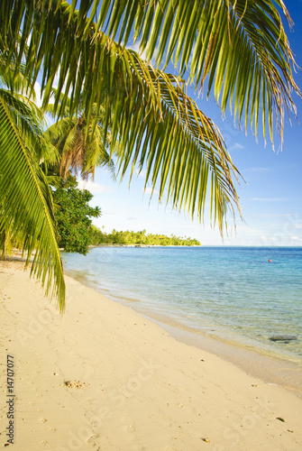 Tropical beach  Huahine  French Polynesia