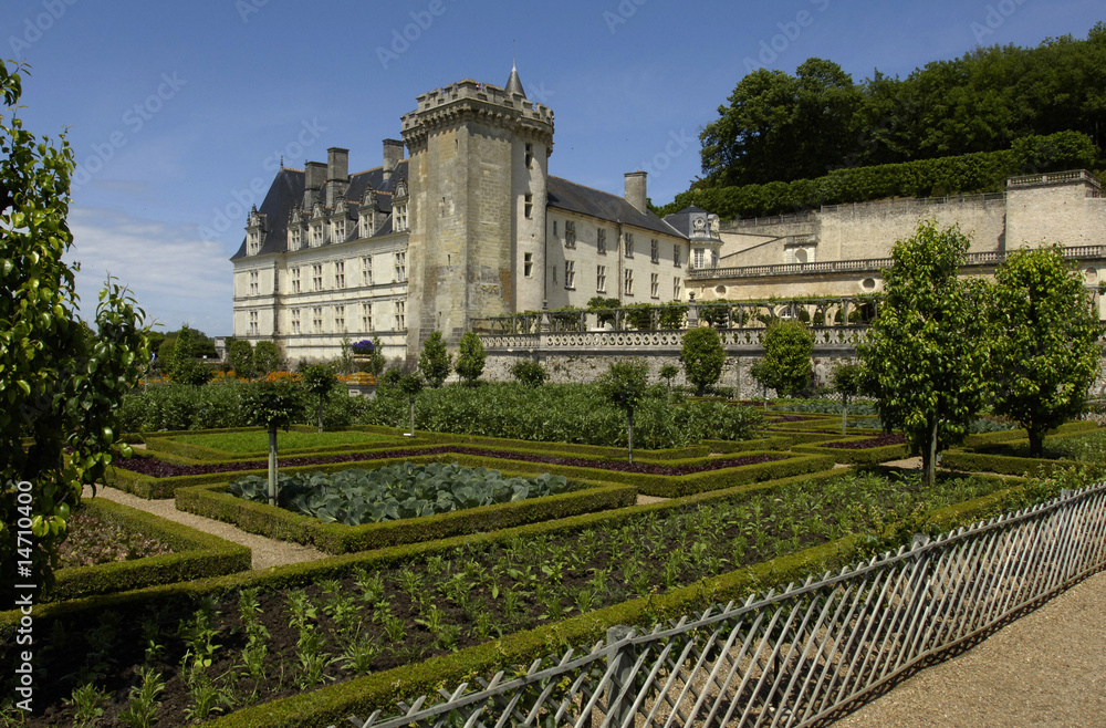 France, château de Villandry, jardin à la française