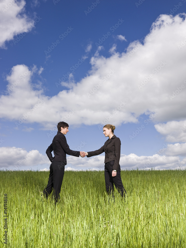 Two women standing in the grass shaking hands Two women standing in the grass shaking hands