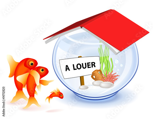 Maison a louer