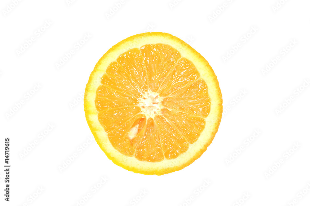 citrus citrus
