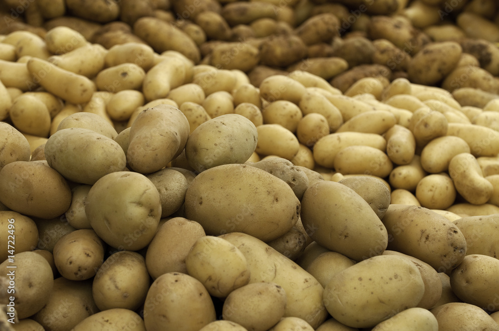 Potatoes Potatoes