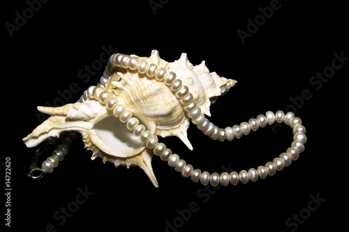 cockle-shell with pearls