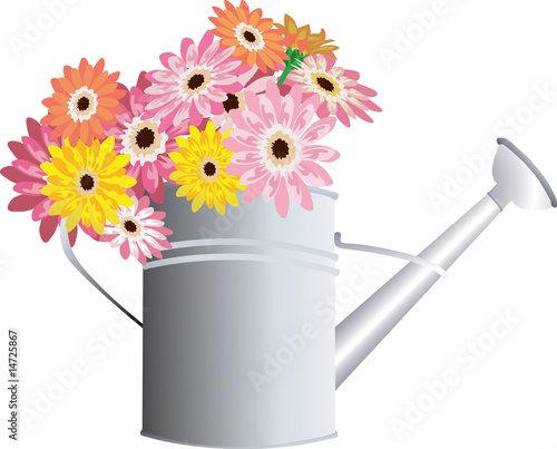 watering can with beautiful flowers