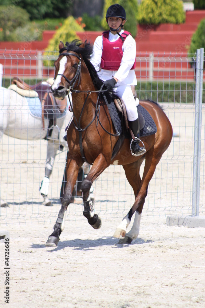 niña a caballo en concurso hípico niña a caballo en concurso hípico