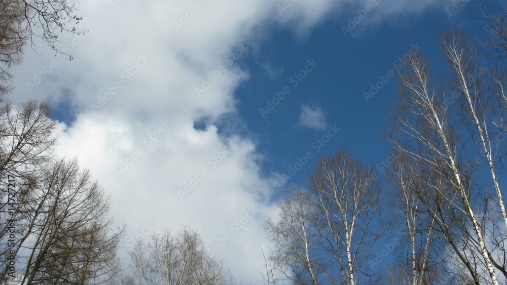 Clouds and tree branch , time lapse Clouds and tree branch , time lapse