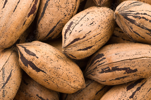 Background of pecan nuts photo