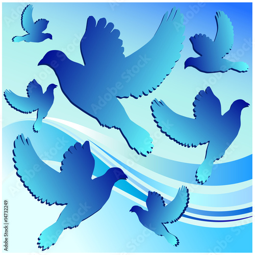 White dove