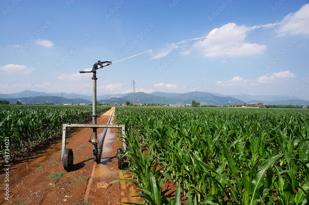 irrigazione artificiale irrigazione artificiale