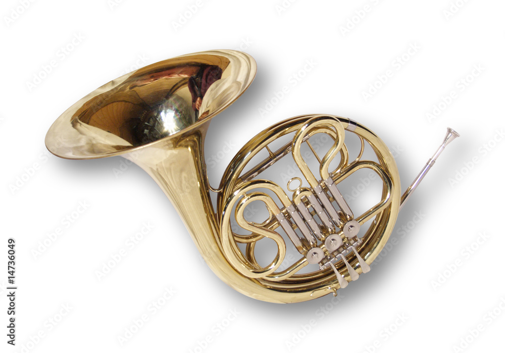 Naklejka premium Horn