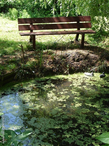 la mare au banc