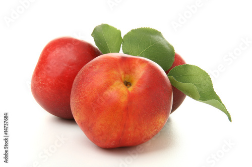 nectarine, fruits rouge, sur fond blanc