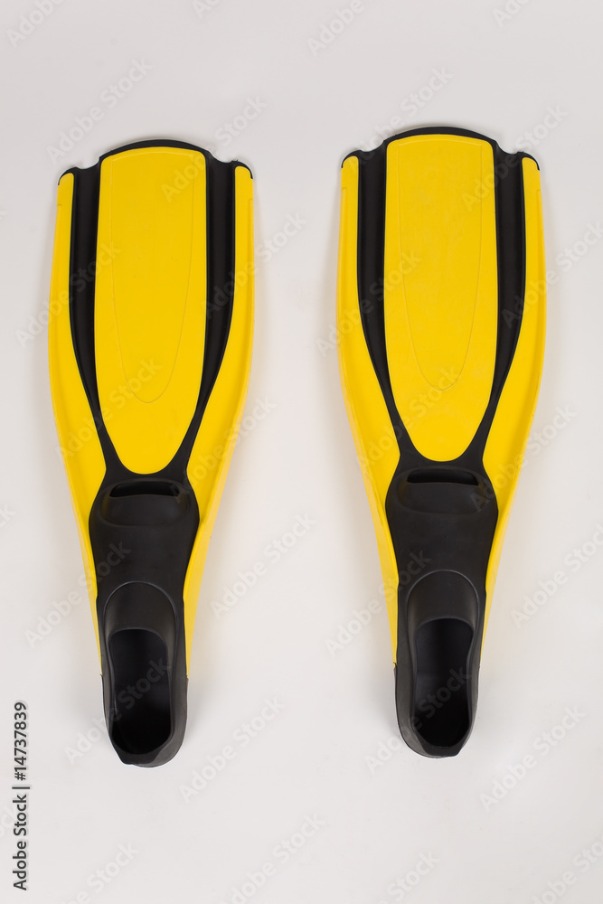 Naklejka premium Flippers pair