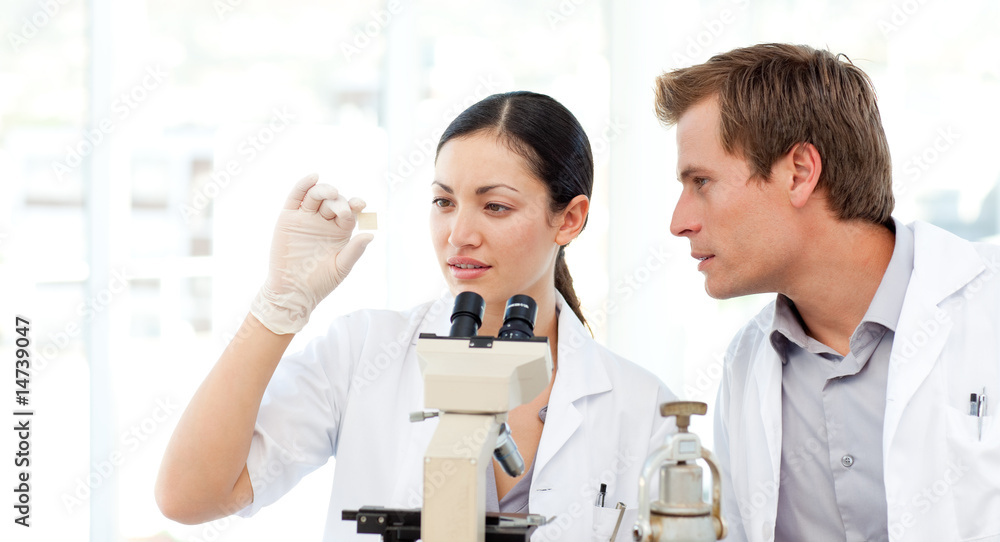Students of science working in a laboratory Students of science working in a laboratory