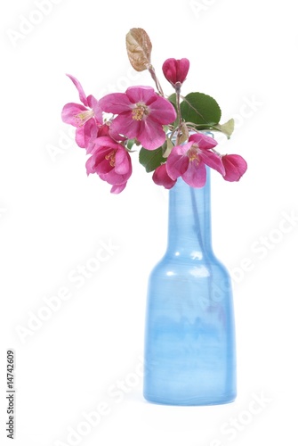 Red apple flowers in the bottle