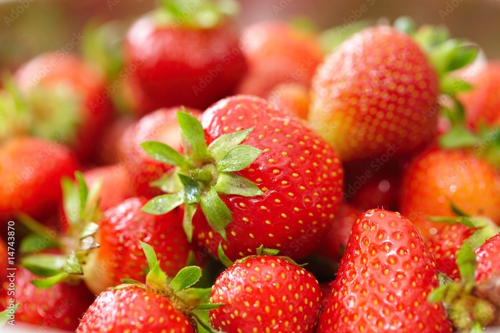 Erdbeeren formatfüllend Erdbeeren formatfüllend