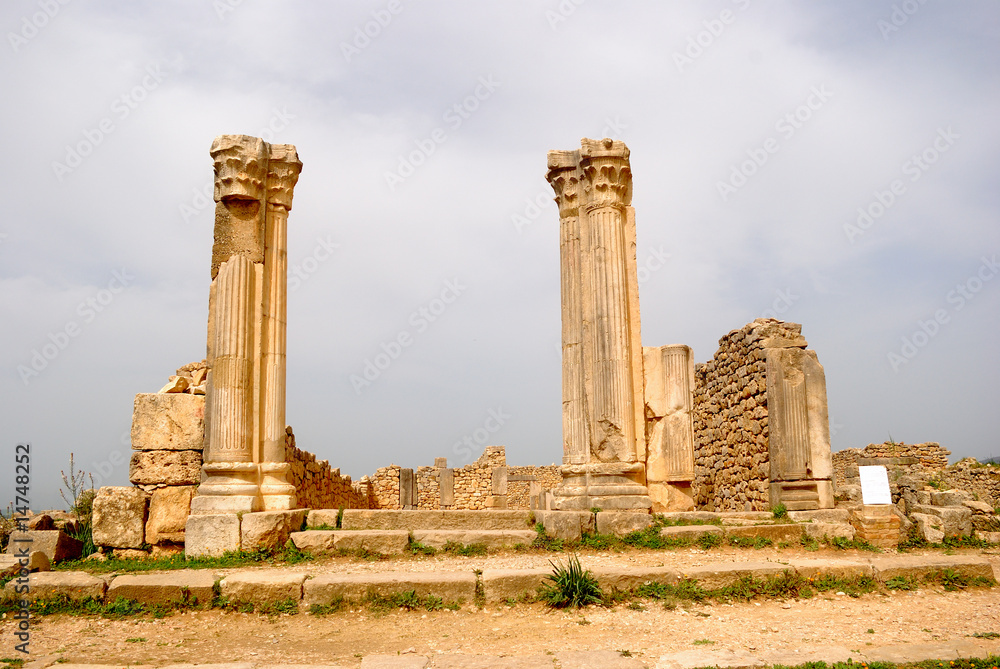 Fototapeta premium The Column House, Volubilis, Morocco