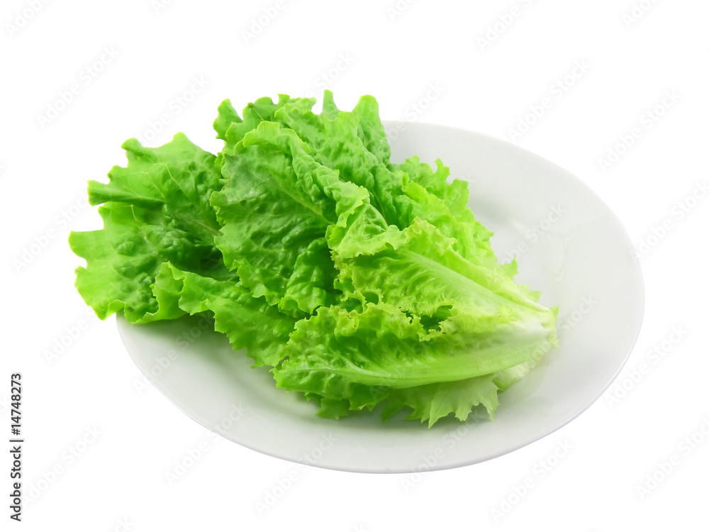 Leaf of lettuce on white plate .Isolated Leaf of lettuce on white plate .Isolated