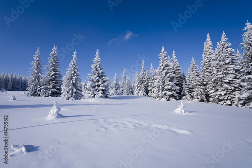 Landscape winter