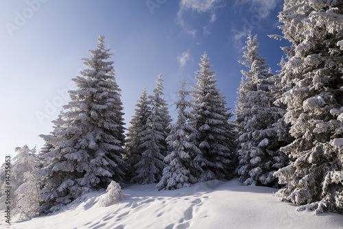 Winter wonderland © Sebastian Duda