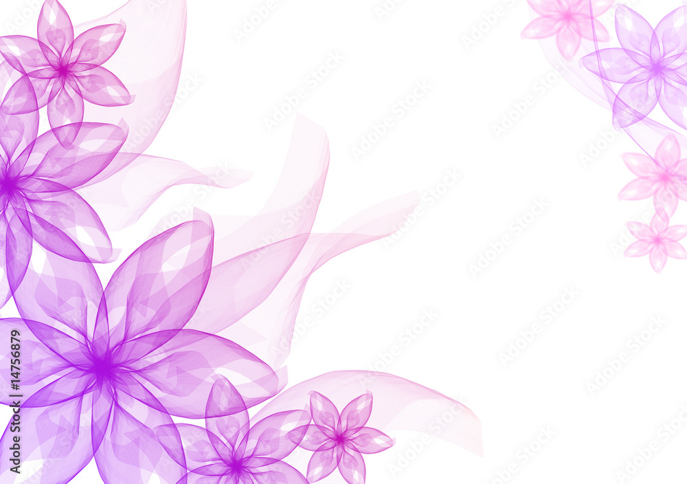 beautiful flowers romantic pink veil on white beautiful flowers romantic pink veil on white