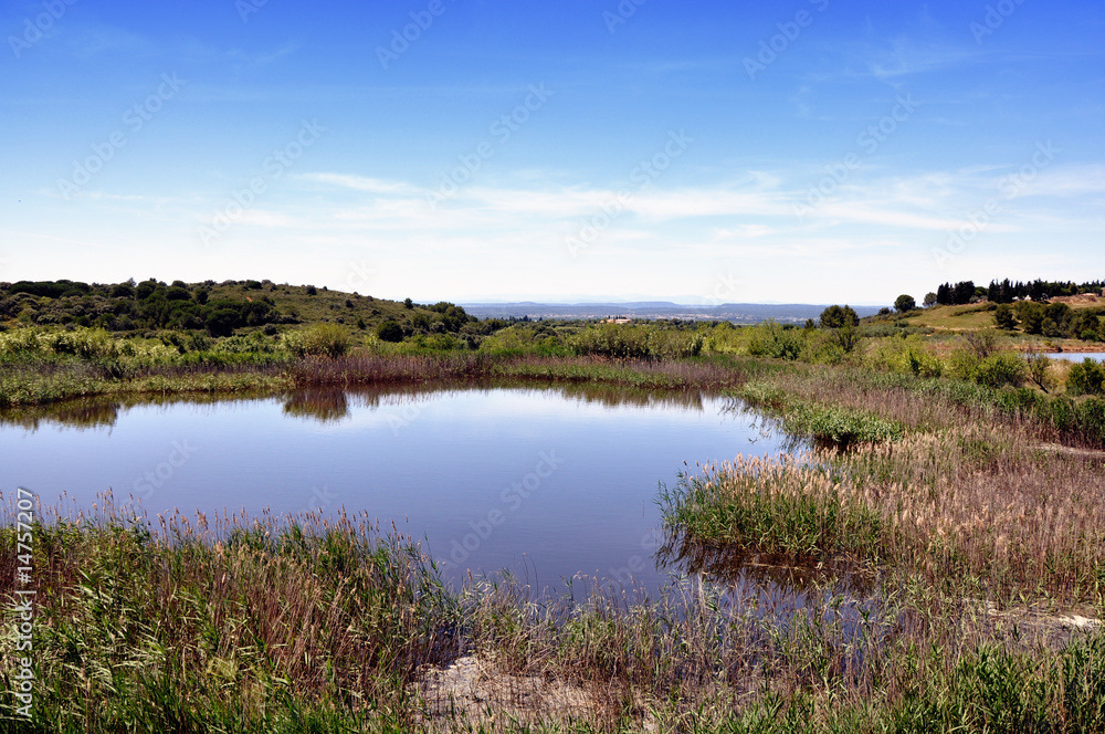 Marais en Camargue Marais en Camargue
