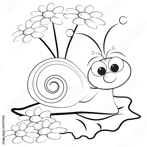 Coloring page - Snail and daisy