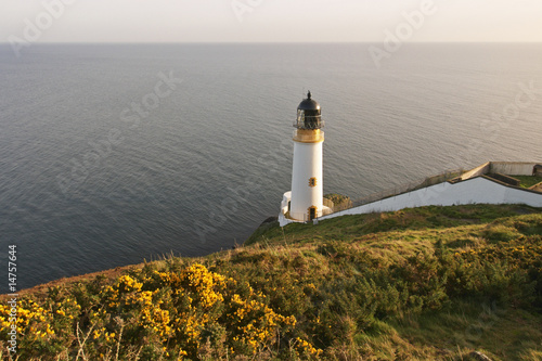 Lighthouse and gorse, Isle of Man