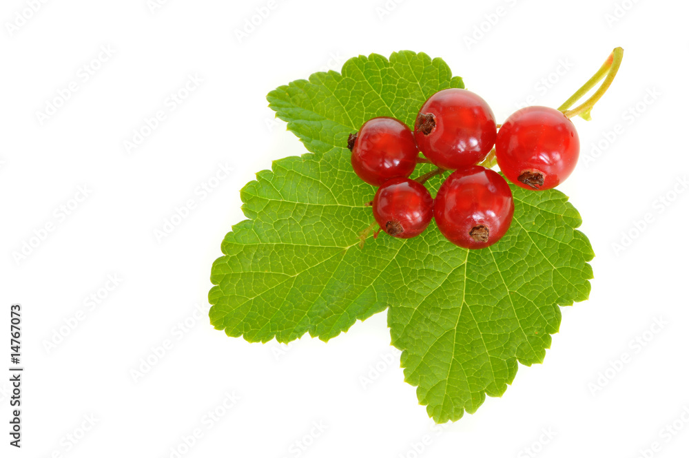 Johannisbeeren 2 Johannisbeeren 2