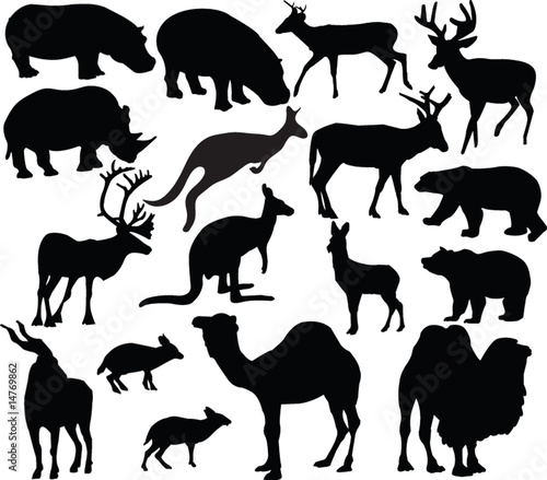 Fototapeta Naklejka Na Ścianę i Meble -  wild animals silhouette - vector